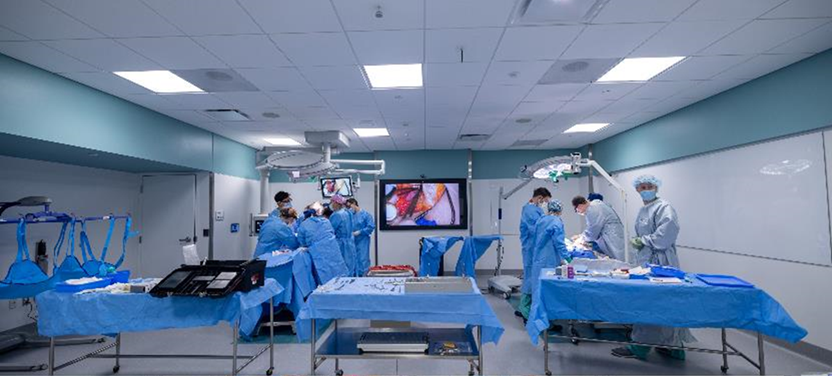 About the Program | Department of Cardiothoracic Surgery - Carver ...