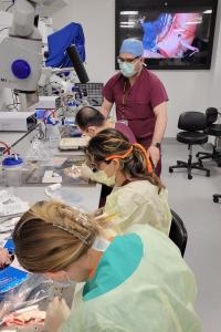 Thoracic Surgery-Integrated Residency