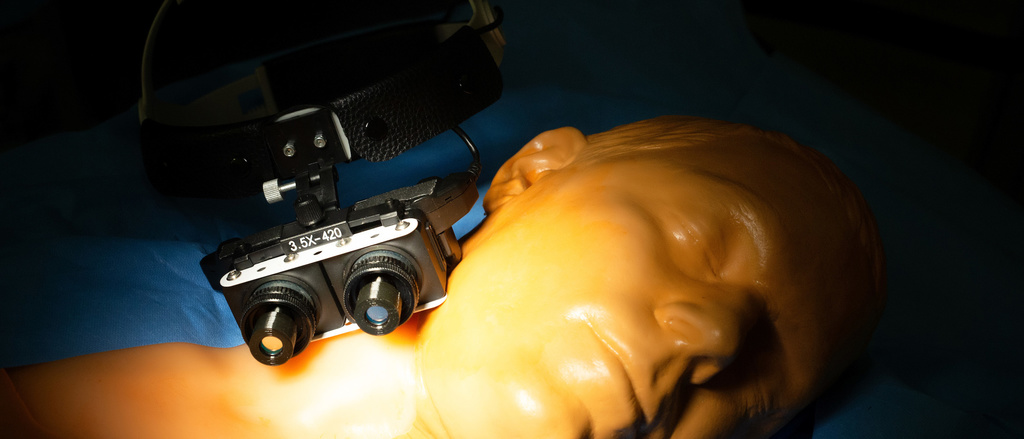 Department of Cardiothoracic Surgery | Carver College of Medicine | The ...