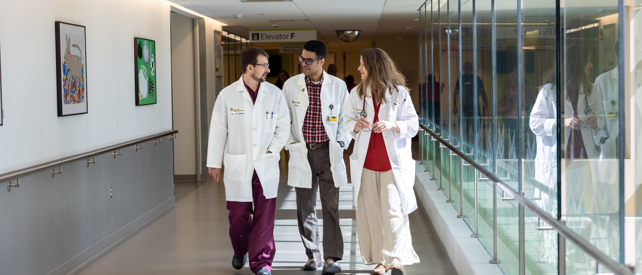 Department of Cardiothoracic Surgery | Carver College of Medicine | The ...