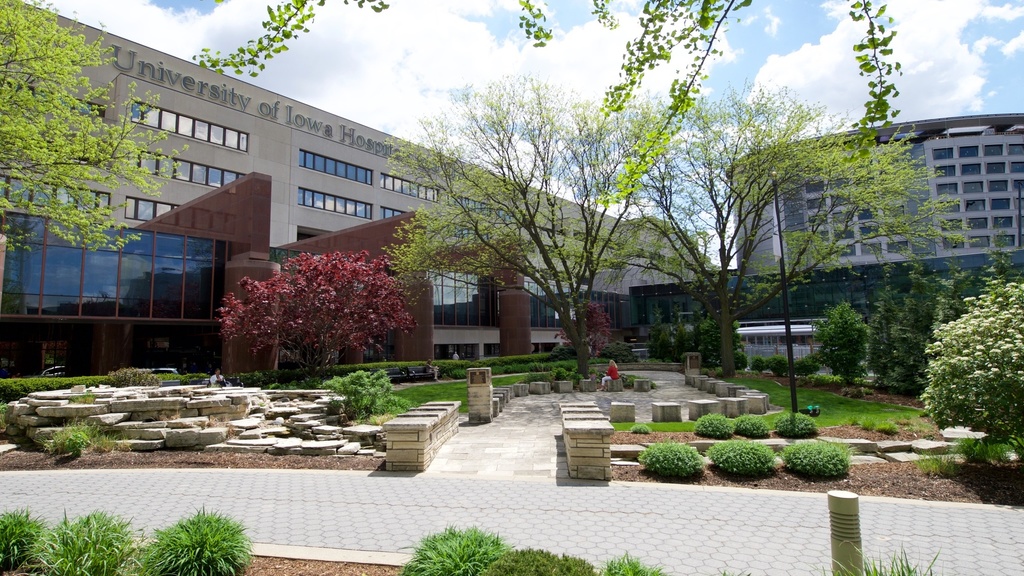 Exterior of UIHC buildings